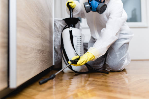 Best Commercial Pest Control Services  in Clifton, CO
