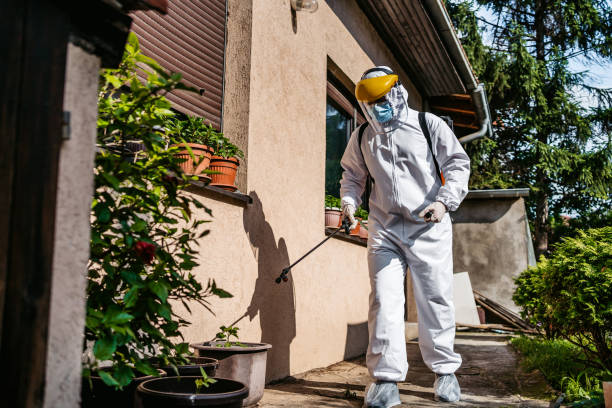Best Insect Control  in Clifton, CO