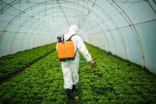 Best Ant Control Services  in Clifton, CO
