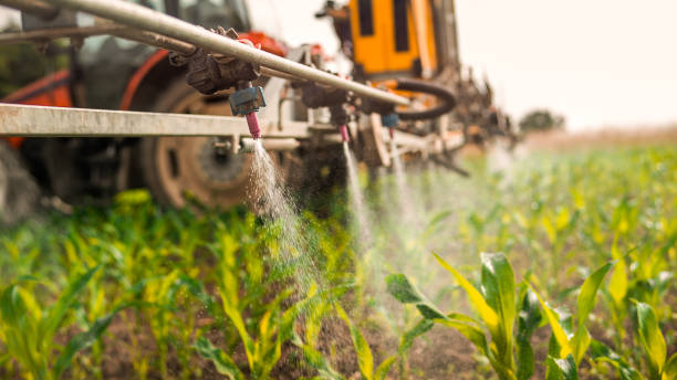 Best Pest Control Treatment  in Clifton, CO